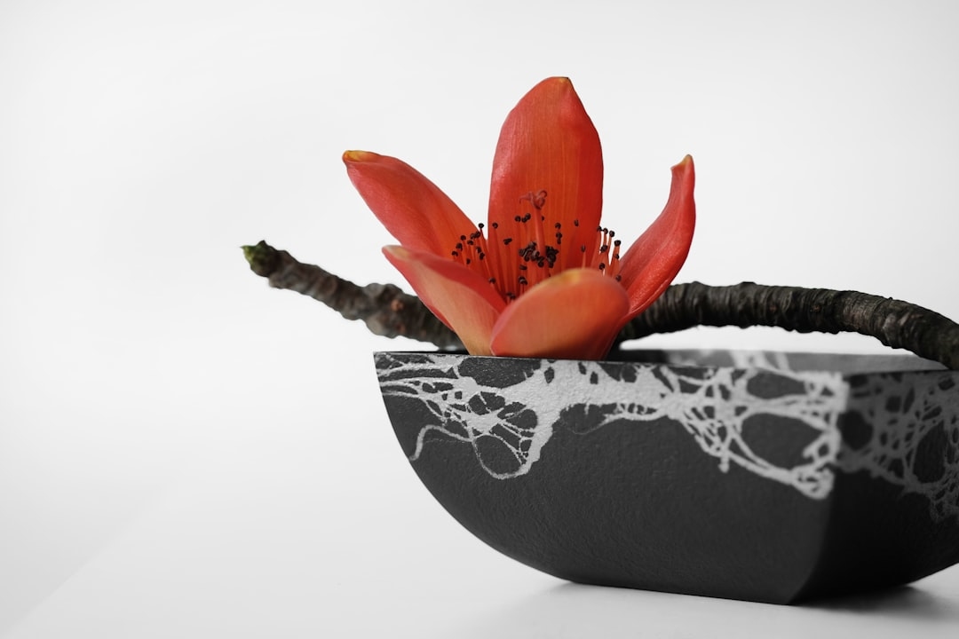 Kenzan Flower Frog Review: Best Pins for Ikebana Arrangements